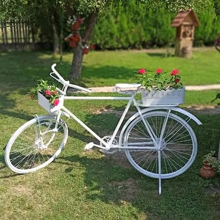 Dom wakacyjny Takovski